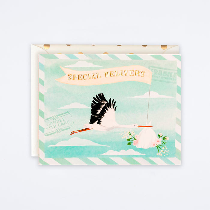 Special Delivery Baby Stork Card