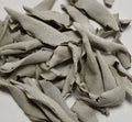 White Sage Leaf - Dragon Herbarium