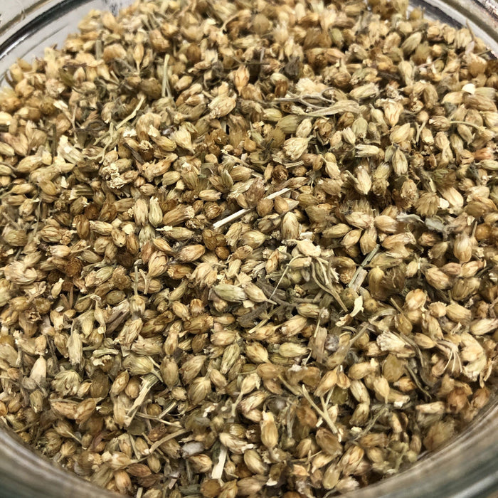 Yarrow